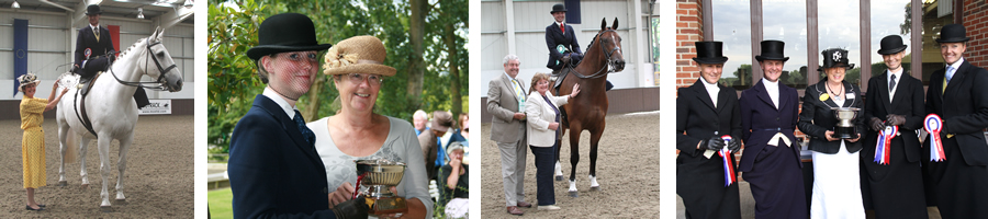 The National Side Saddle Show The National Side Saddle Show