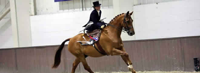 The National Side Saddle Show