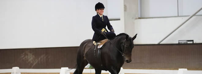 The National Side Saddle Show